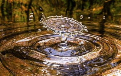 The Way Of Water