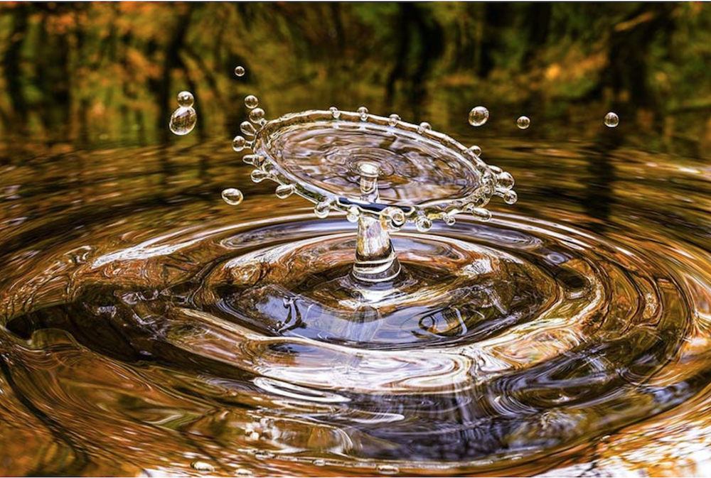 The Way Of Water